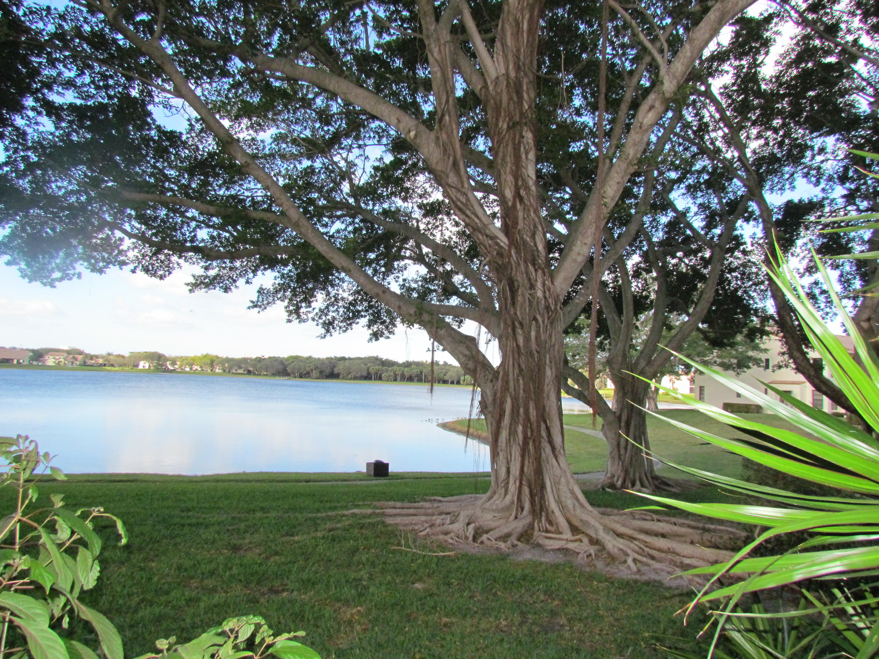 WINDWOOD 10 properties for sale, Boca Raton,33431 FL. Boca Agency